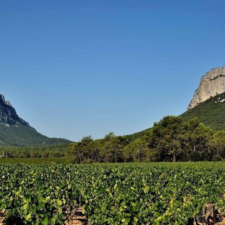 Gite Du Pic Saint Loup Valflaunes Екстер'єр фото